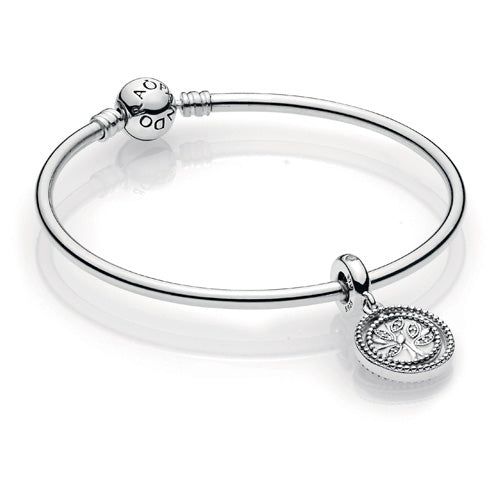 Pandora B801156-19 MothersDay19 Gift Set 19 cm Family Tree Bangle Gift Set