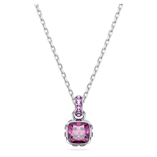 5651708 Swarovski BIRTHSTONE:PEND FEB PENDANT PUR/RHS